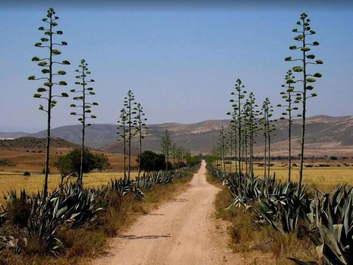 Casa El Olivo Villa Las Negras Eksteriør bilde
